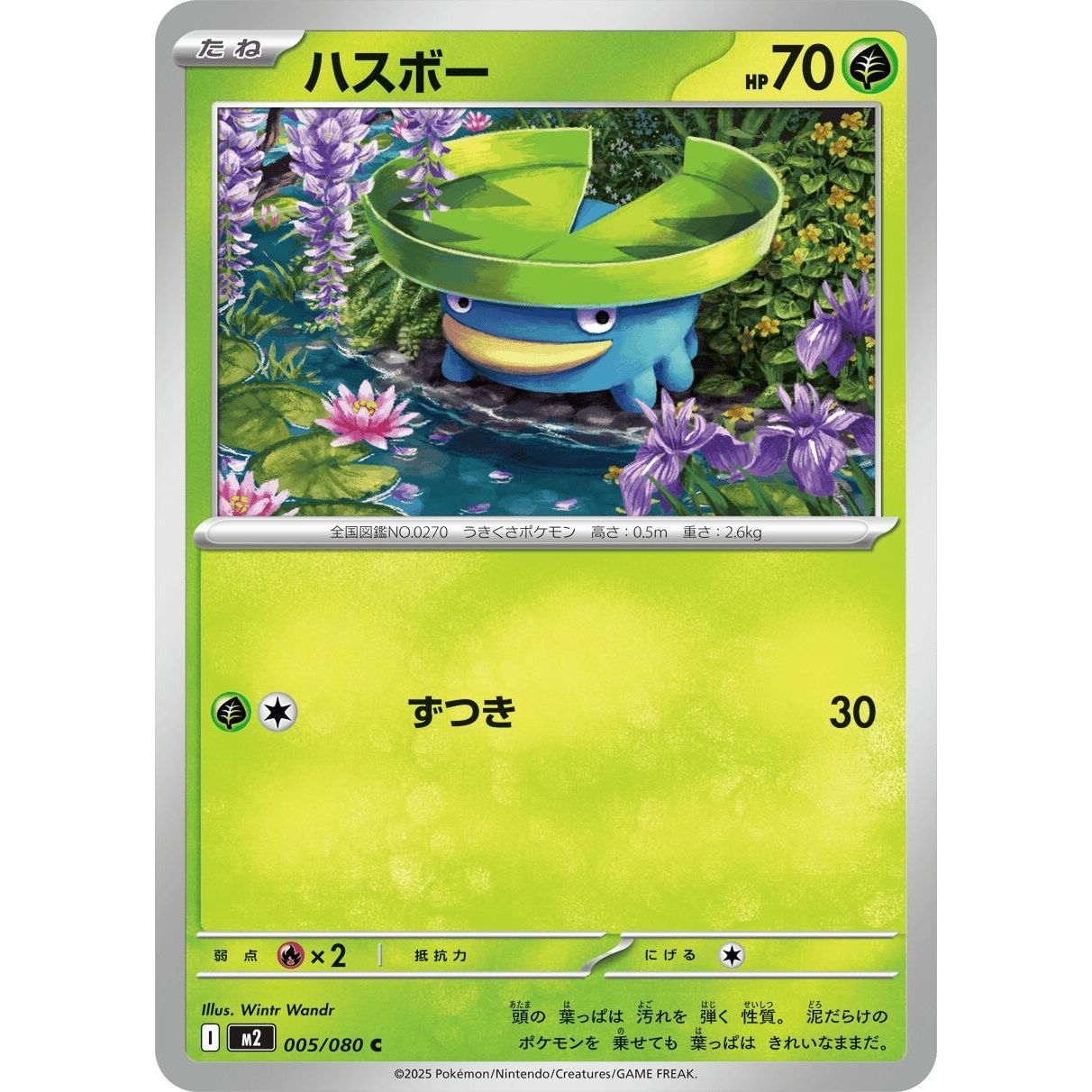 Image for Lotad (005/080) (M2) - Pokemon Japan