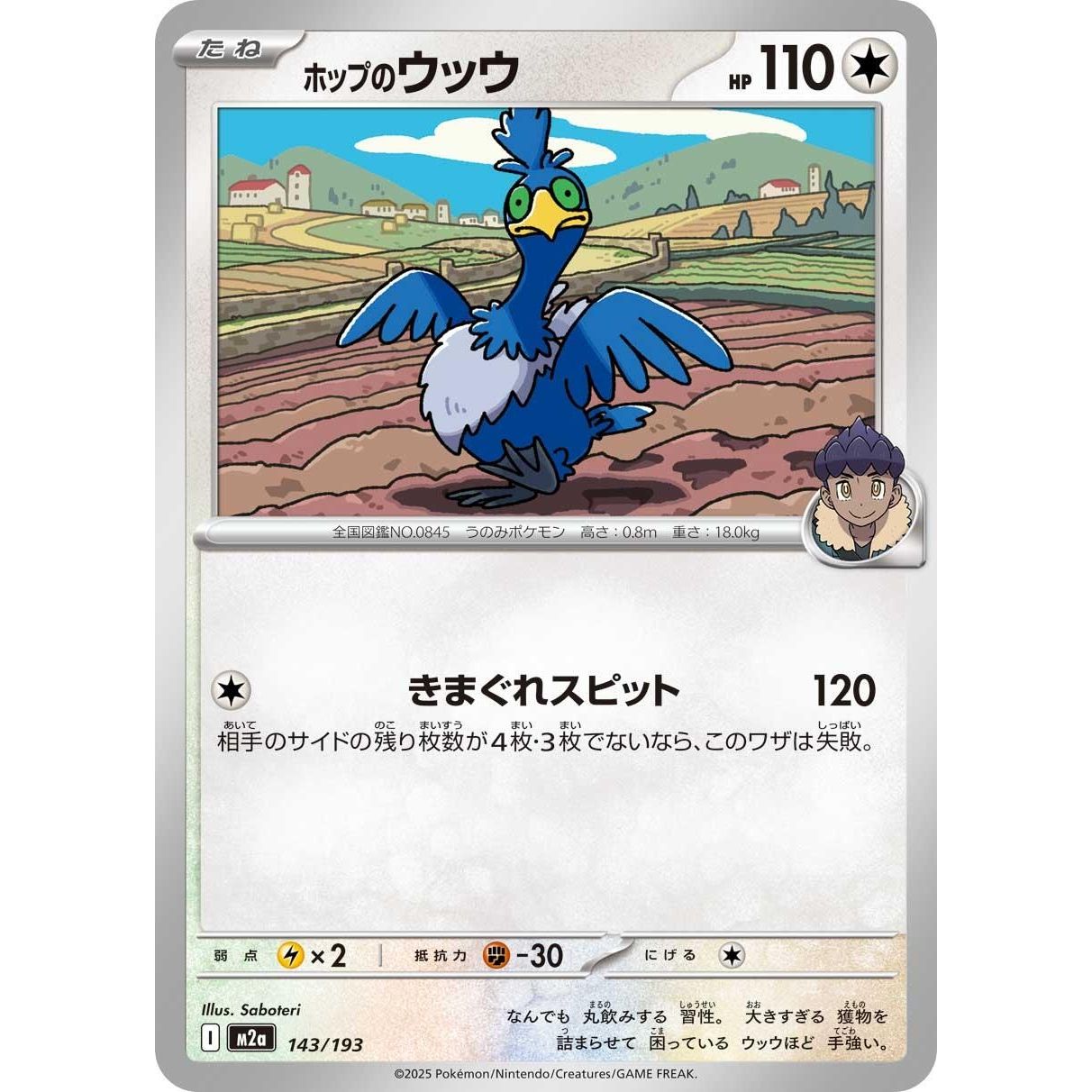 Image for Hop's Cramorant (143/193) (M2a) - Pokemon Japan