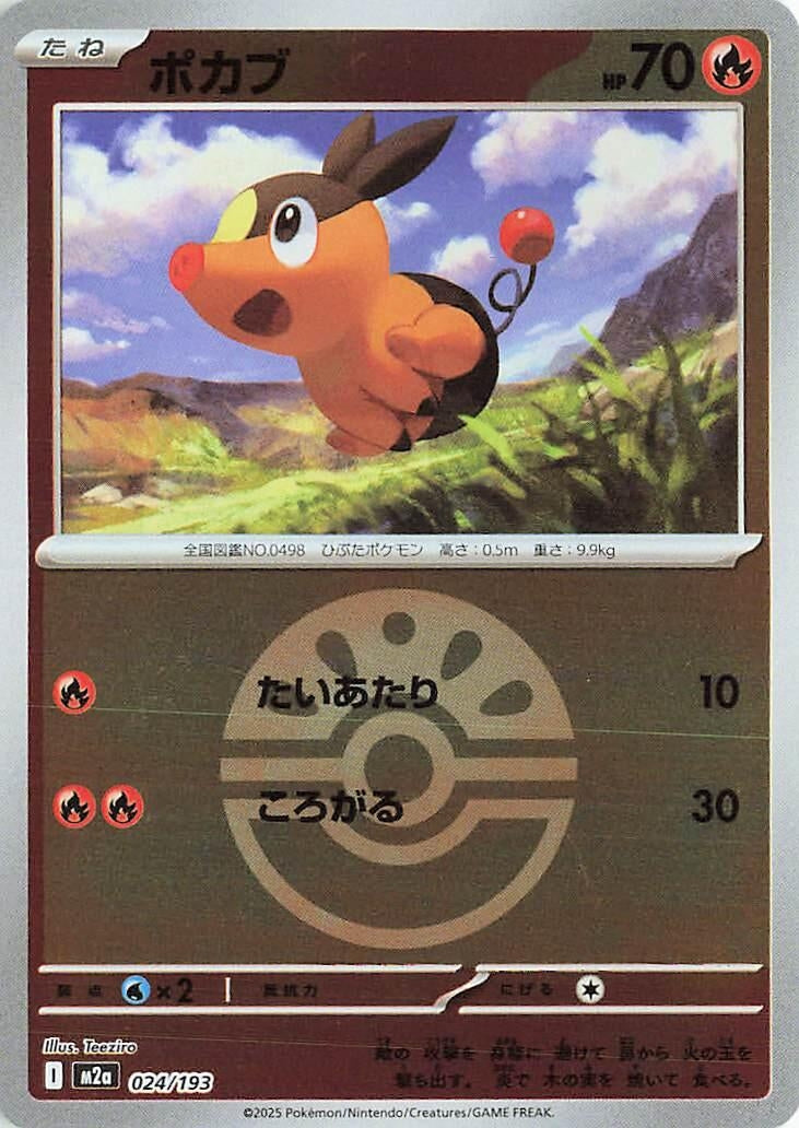 Image for Tepig (Friend Ball Pattern) (024/193) (M2a) - Pokemon Japan