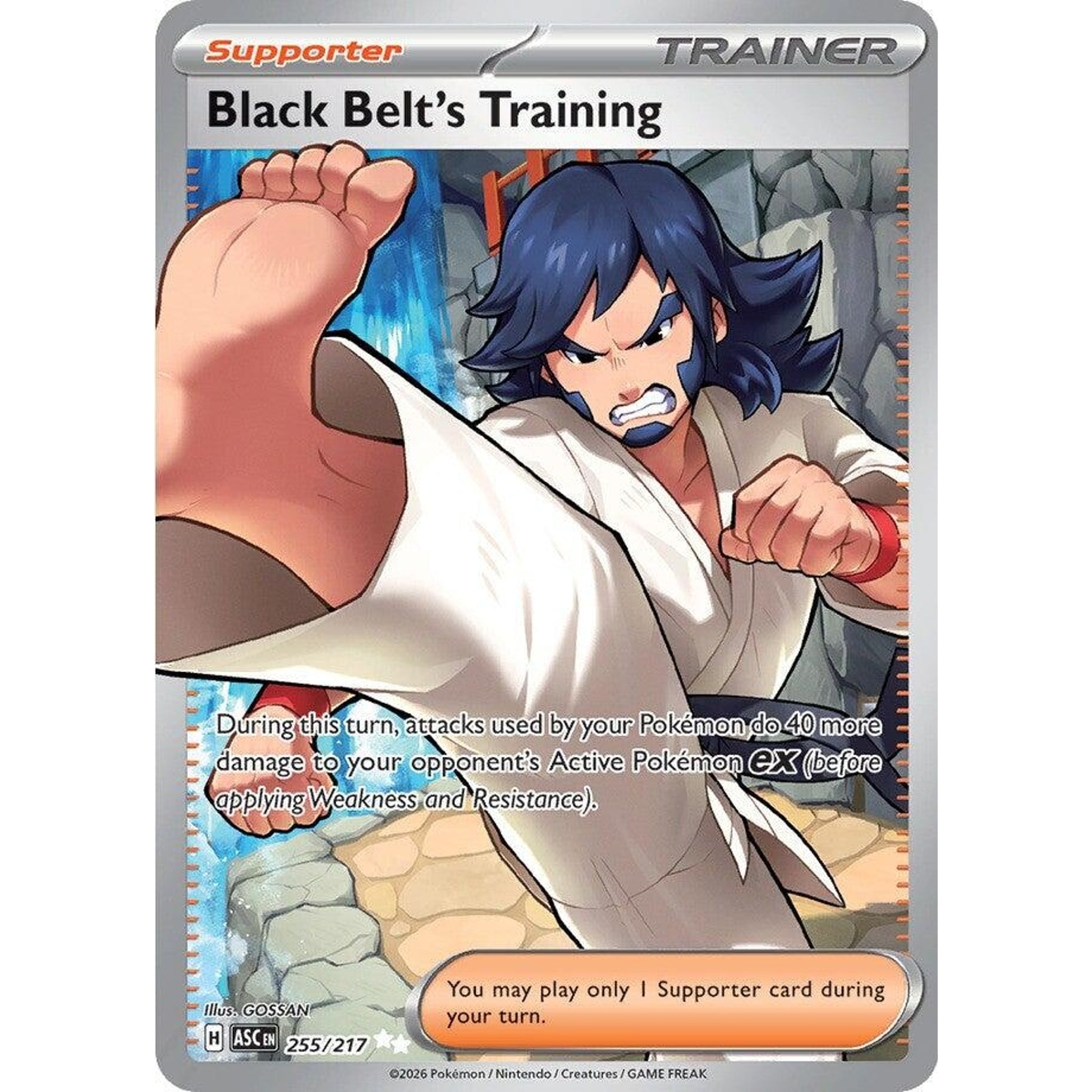 Image for Black Belt's Training (255/217) (ASC) - Pokemon