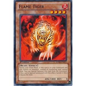 Image for Flame Tiger (SDOK-EN019) (SDOK) - YuGiOh