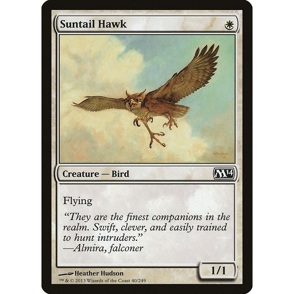 Image for Suntail Hawk (40) (M14) - Magic: The Gathering