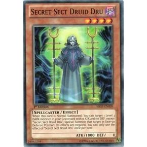 Image for Secret Sect Druid Dru (SHSP-EN009) (SHSP) - YuGiOh