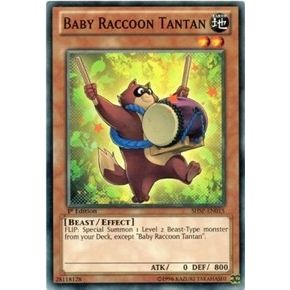 Image for Baby Raccoon Tantan (SHSP-EN015) (SHSP) - YuGiOh