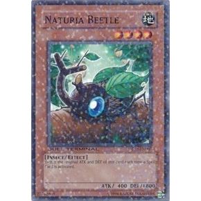 Image for Naturia Beetle (DT02-EN007) (DT02) - YuGiOh