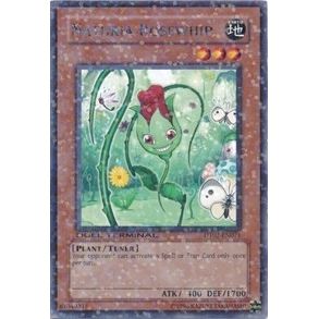 Image for Naturia Rosewhip (DT02-EN071) (DT02) - YuGiOh