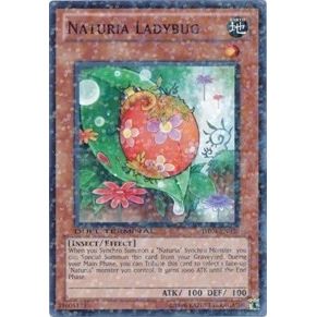 Image for Naturia Ladybug (DT04-EN030) (DT04) - YuGiOh