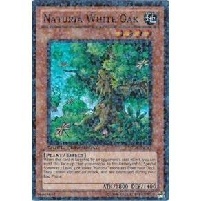 Image for Naturia White Oak (DT04-EN081) (DT04) - YuGiOh