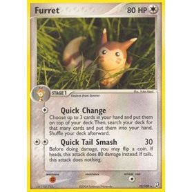 Furret Pokemon