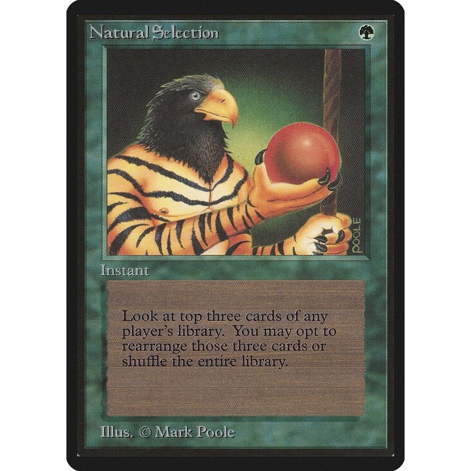Image for Natural Selection (LEB) - Magic: The Gathering