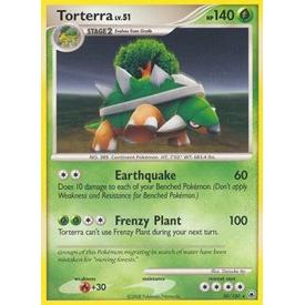 Torterra Pokemon