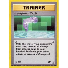 Transparent Walls Pokemon