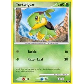 Turtwig Pokemon