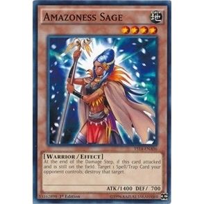 Image for Amazoness Sage (YS14-ENA06) (YS14-A) - YuGiOh