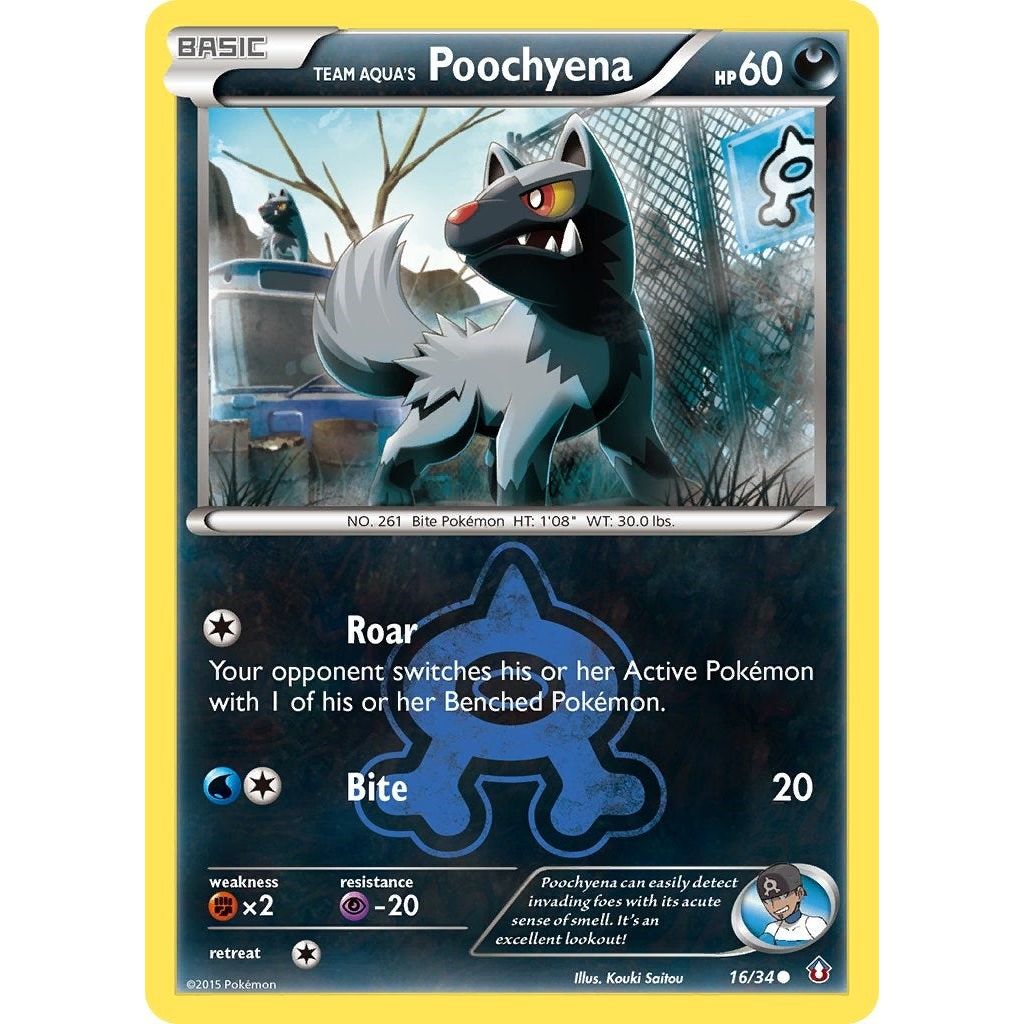 Image for Team Aqua's Poochyena (16/34) (DCR) - Pokemon