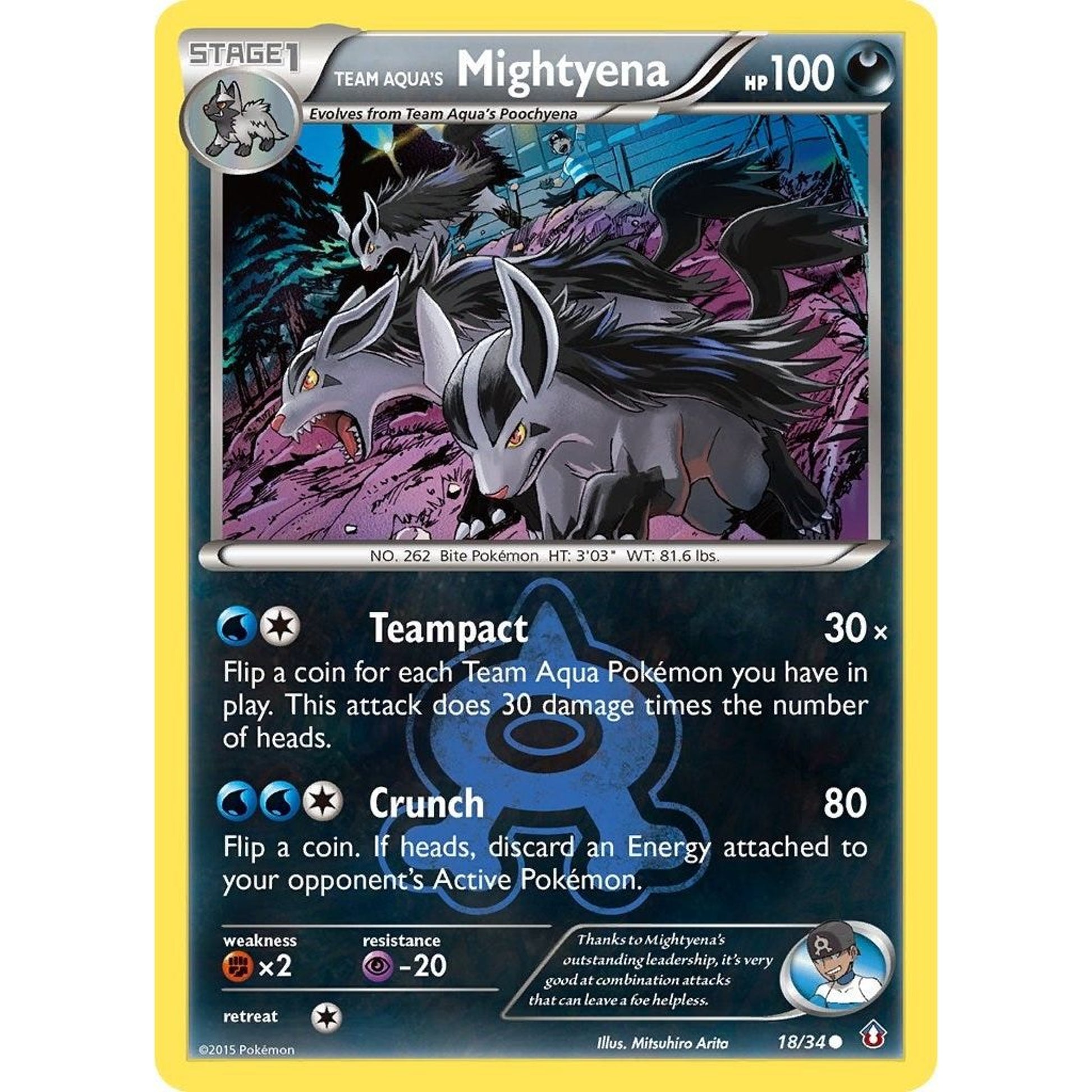 Image for Team Aqua's Mightyena (18/34) (DCR) - Pokemon