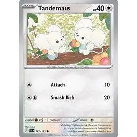 Tandemaus - 167/193 Pokemon