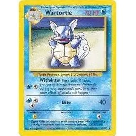 Wartortle Pokemon