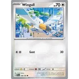 Wingull Pokemon